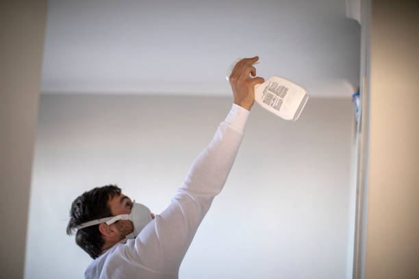 Best Toxic Mold Removal  in Delavan, IL