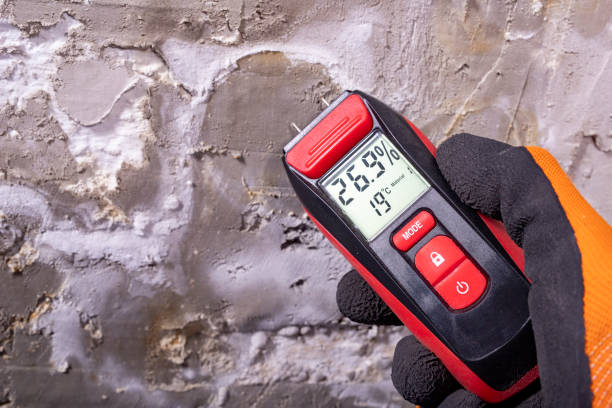 Best Mold Removal Company Near Me  in Delavan, IL