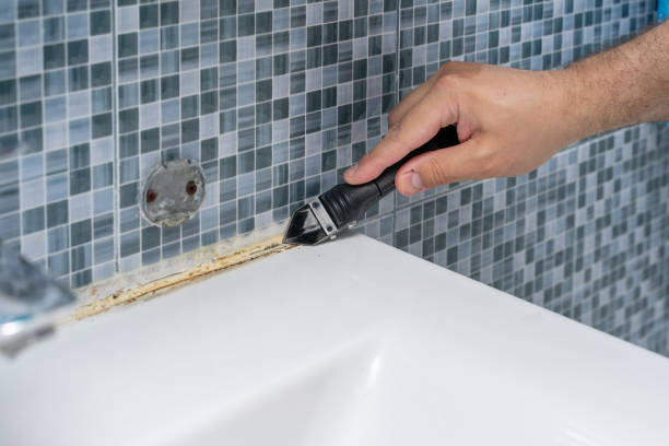 Best Black Mold Removal  in Delavan, IL
