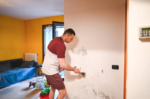 Mold Removal Process in Delavan, IL